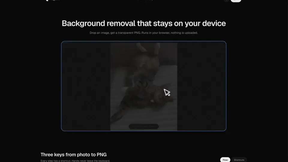 Poster for bg0 — local WebGPU background removal