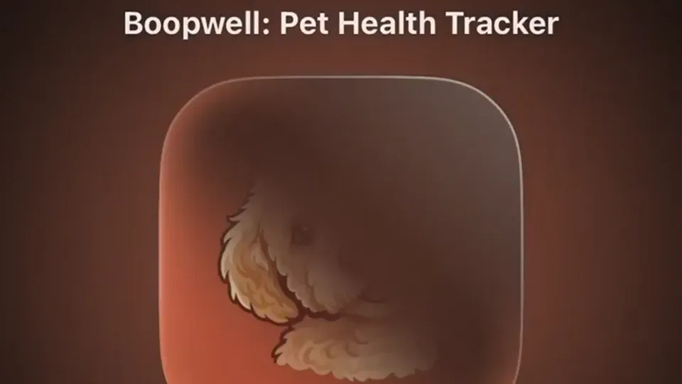 Poster for BoopWell launches