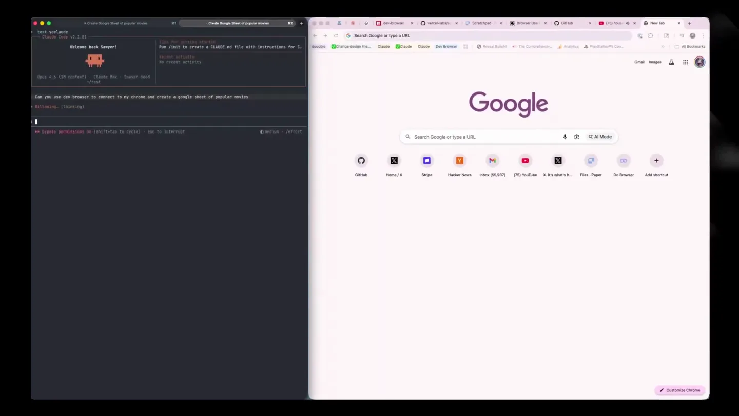 dev-browser