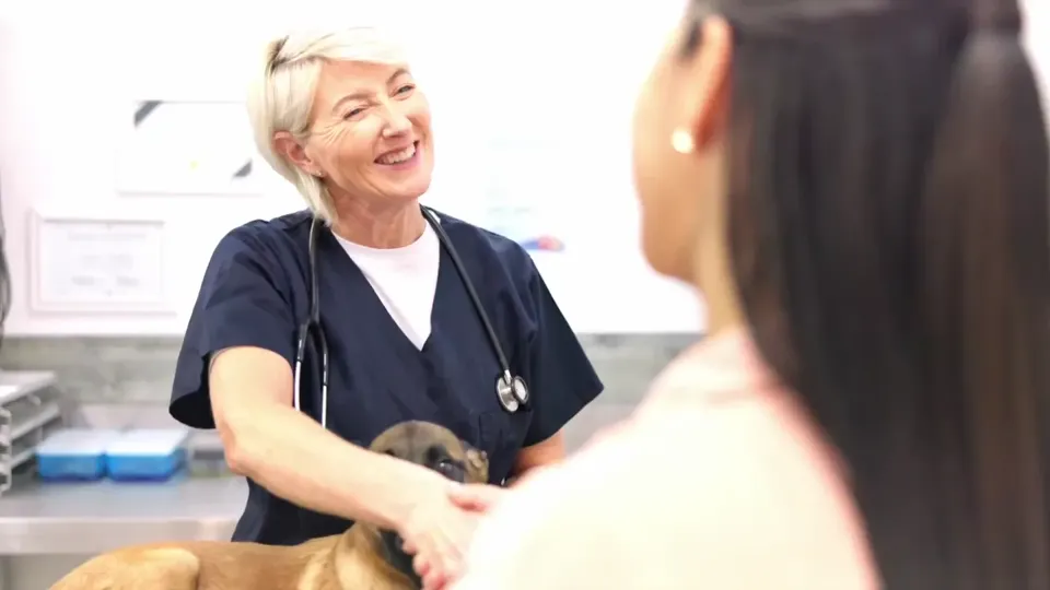 Poster for PetVivo launches an AI client acquisition platform for vets