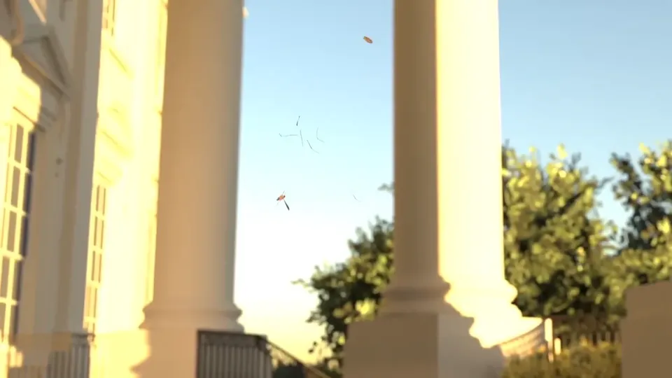 Poster for Tornyol Builds Micro-Drones That Kill Mosquitoes…